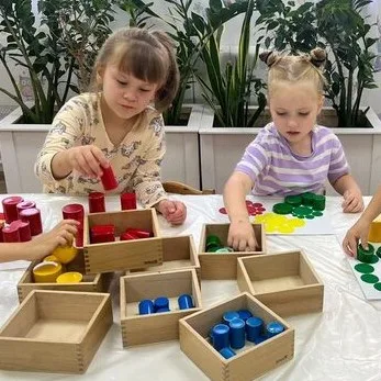 Старшая группа